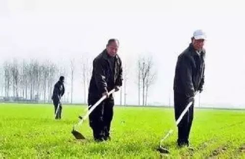 农村种地大实话顺口溜男声版,农村种地顺口溜句句扎心