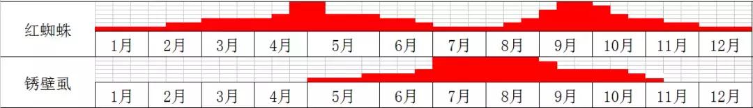 杀虫药锈壁虱,锈壁虱什么时间开始危害