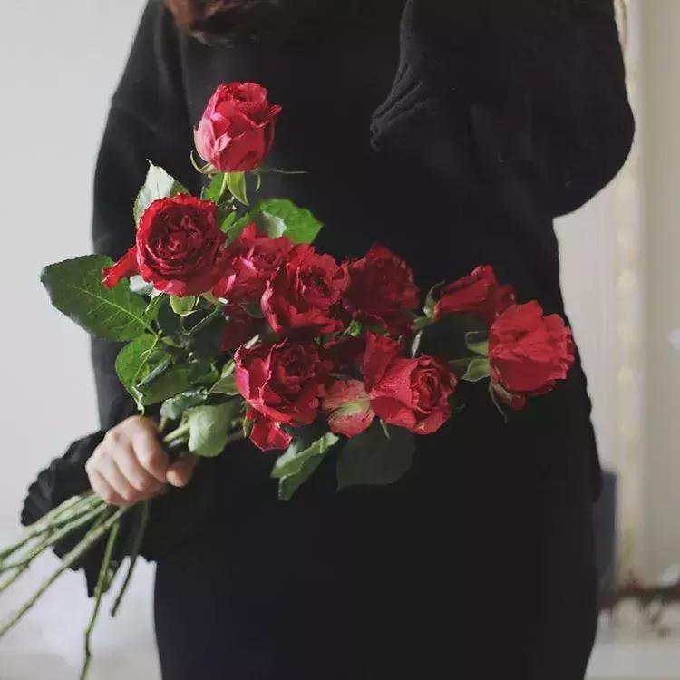 七夕玫瑰的数量和颜色有讲究,七夕情人节送玫瑰支数含义