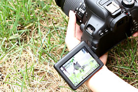 单反相机新手零基础教学佳能相机,佳能数码相机摄影技巧大全