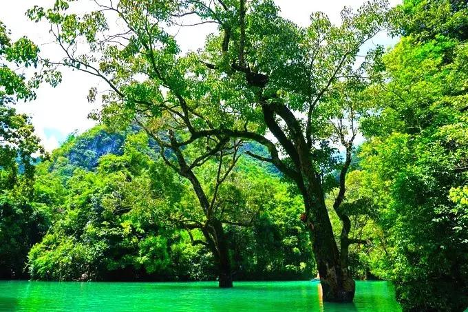 贵州有没有十万大山,贵州美如仙境的小县