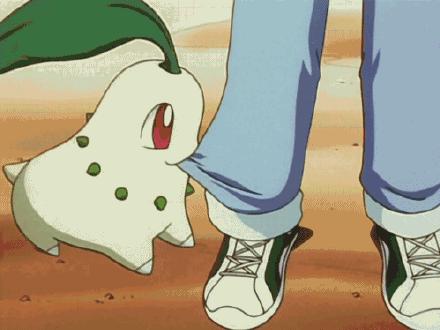 宠物小精灵初始宝可梦,宠物小精灵三个初始精灵