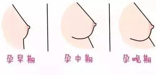 孕妈不能马虎的三件事,孕妈做点什么好呢