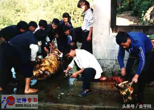 云南彝族八月传统节日,云南彝族节