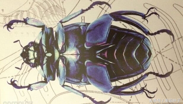 nike喷泡什么颜色最好看,nike黑蓝喷泡