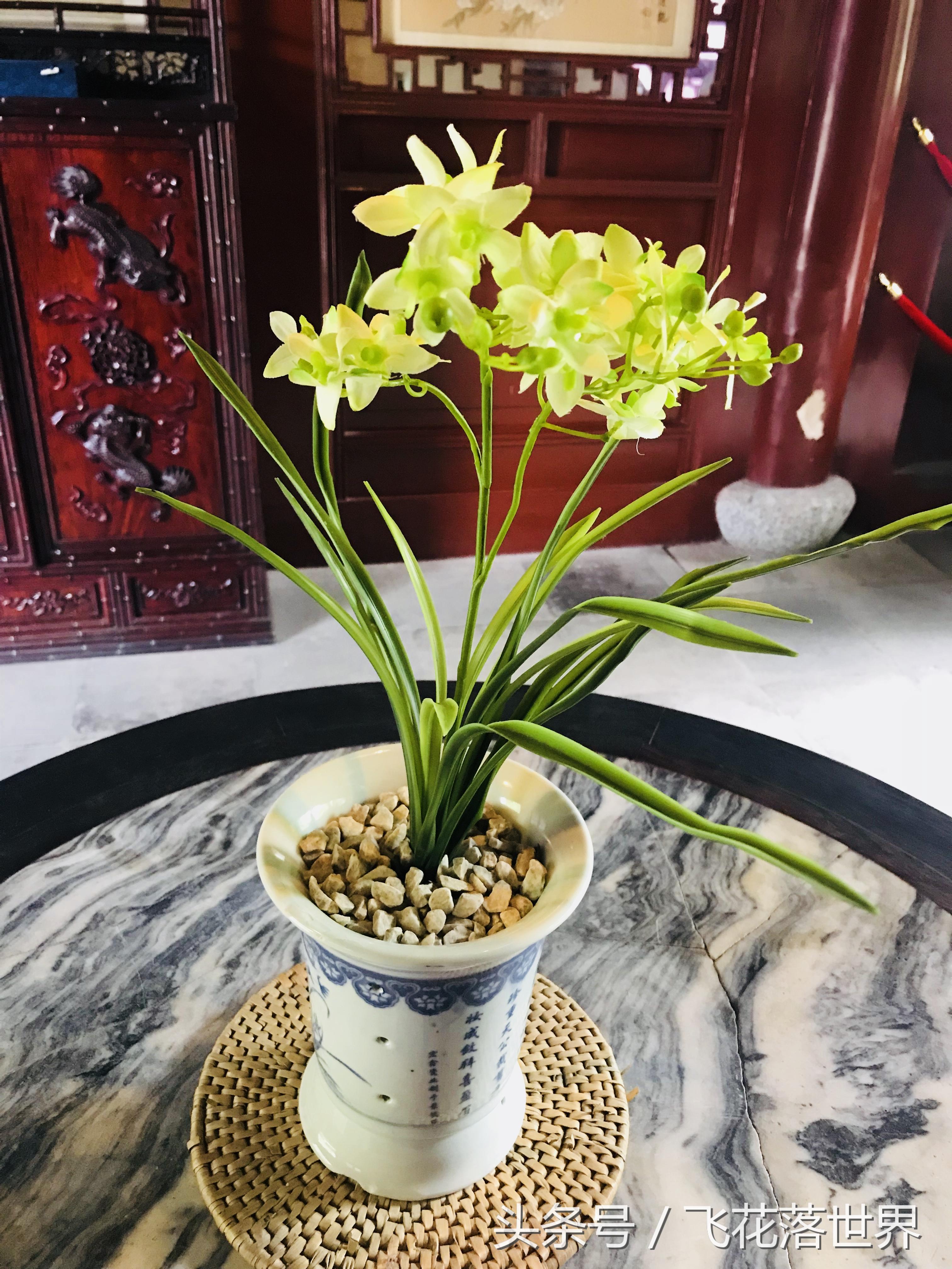 上海大观园园林,上海大观园的著名景点