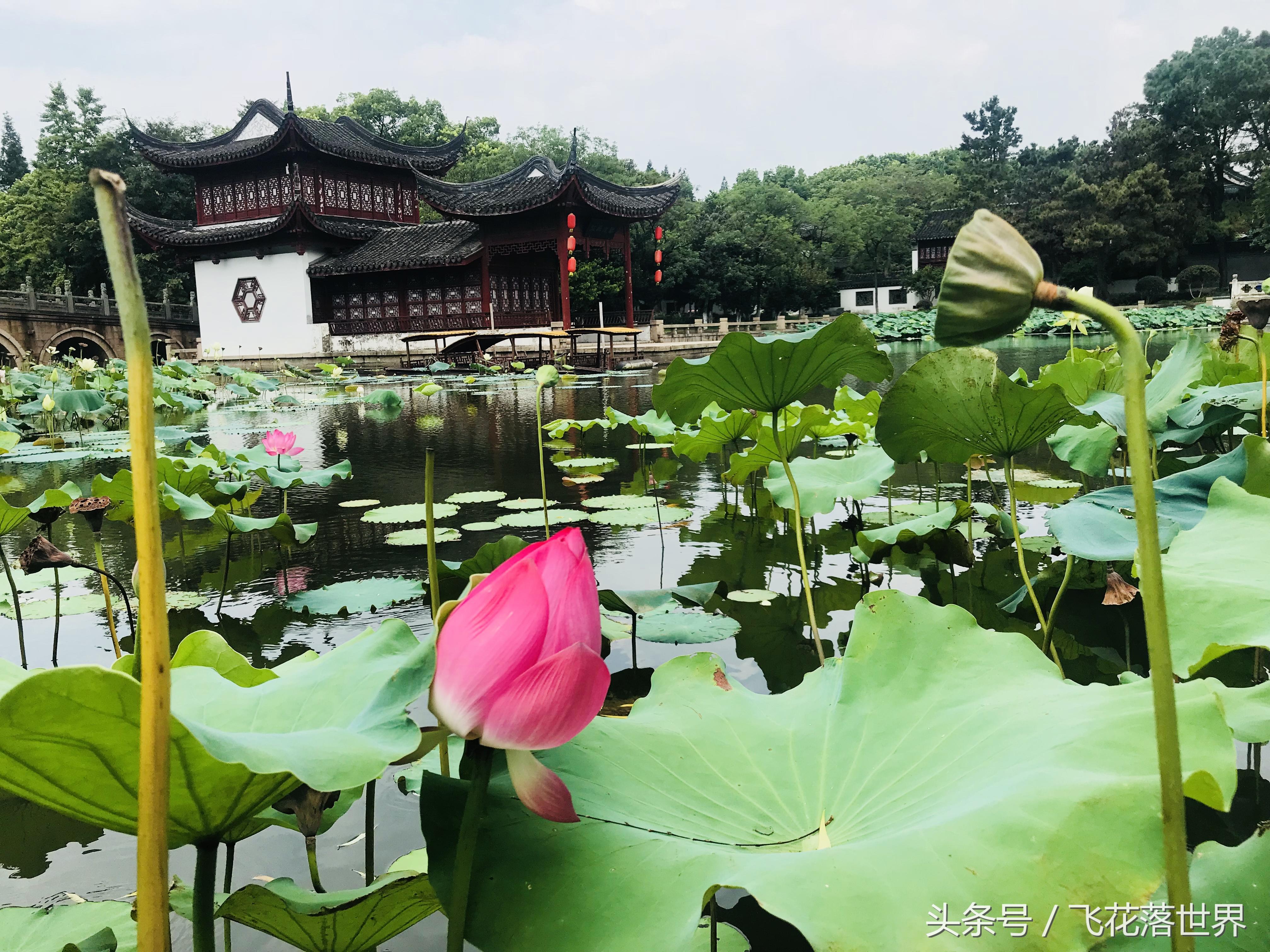 上海大观园园林,上海大观园的著名景点