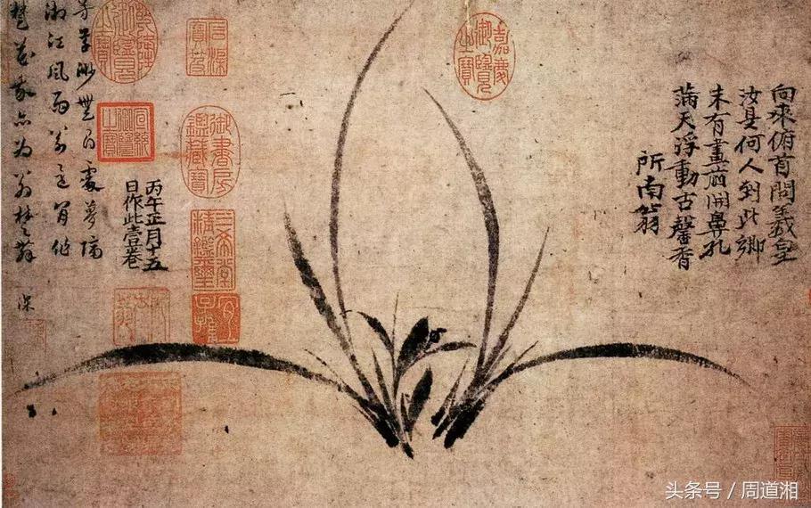 国画四大君子之兰花,国画兰花最好的是哪种