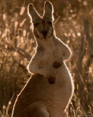 全方位带你认识性病，开启“预防性病”小贴士