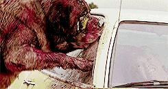 恐怖片迷过大年了，美剧拍出斯蒂芬·金宇宙