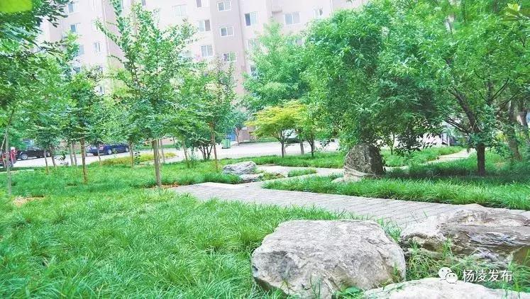 杨凌绿化最好的小区,杨凌绿地二期附近公园推荐