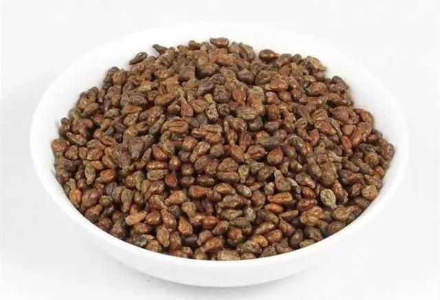 推荐swisse葡萄籽,美国葡萄籽哪个牌子好