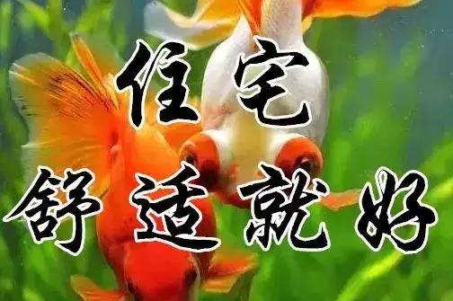 知足常乐每天都要保持开心的状态,知足常乐开心过好每一天