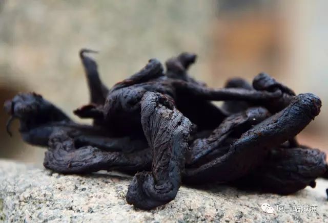 漳浦必去景点,漳浦最出名的地方