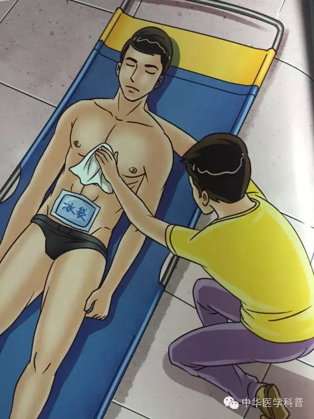 家庭急救与护理知识中暑,猫中暑的急救常识