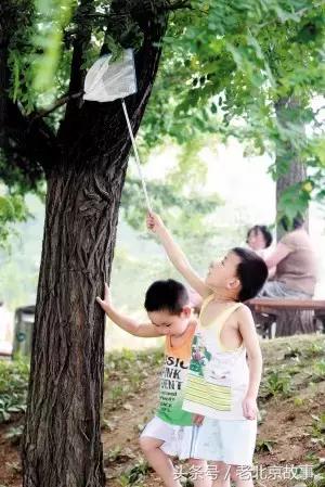 这么热的伏天儿，过去没有空调，北京人如何过的？