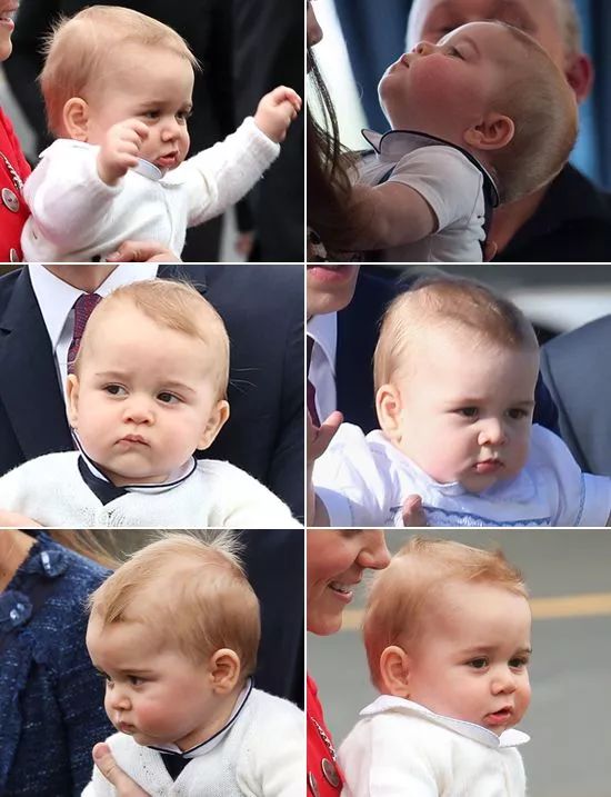 乔治王子短裤款式,乔治小王子短裤品牌