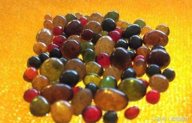 舍利子到底有没有科学道理,科学研究舍利子到底是什么