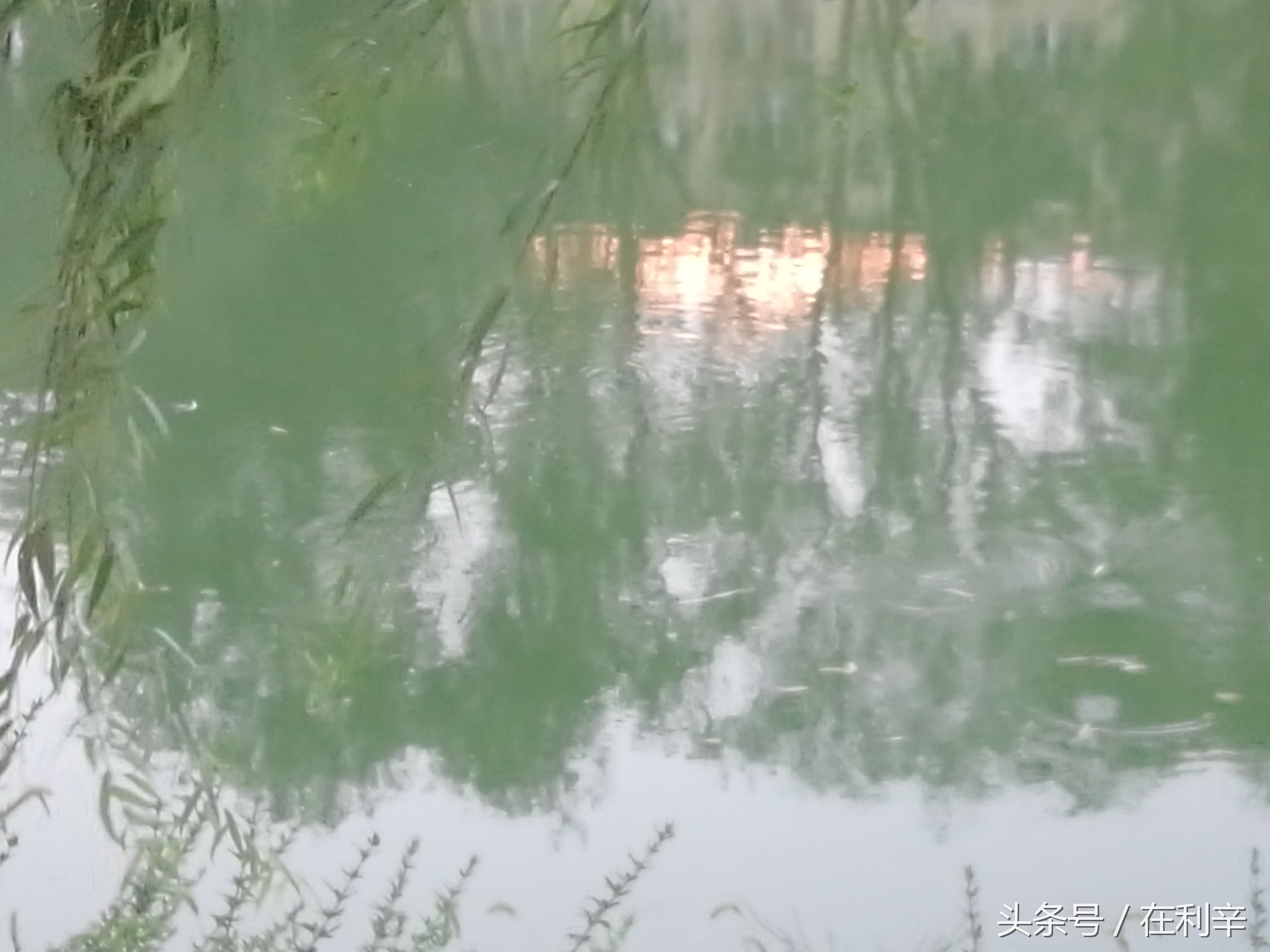 利辛日常生活,亳州利辛县日常生活