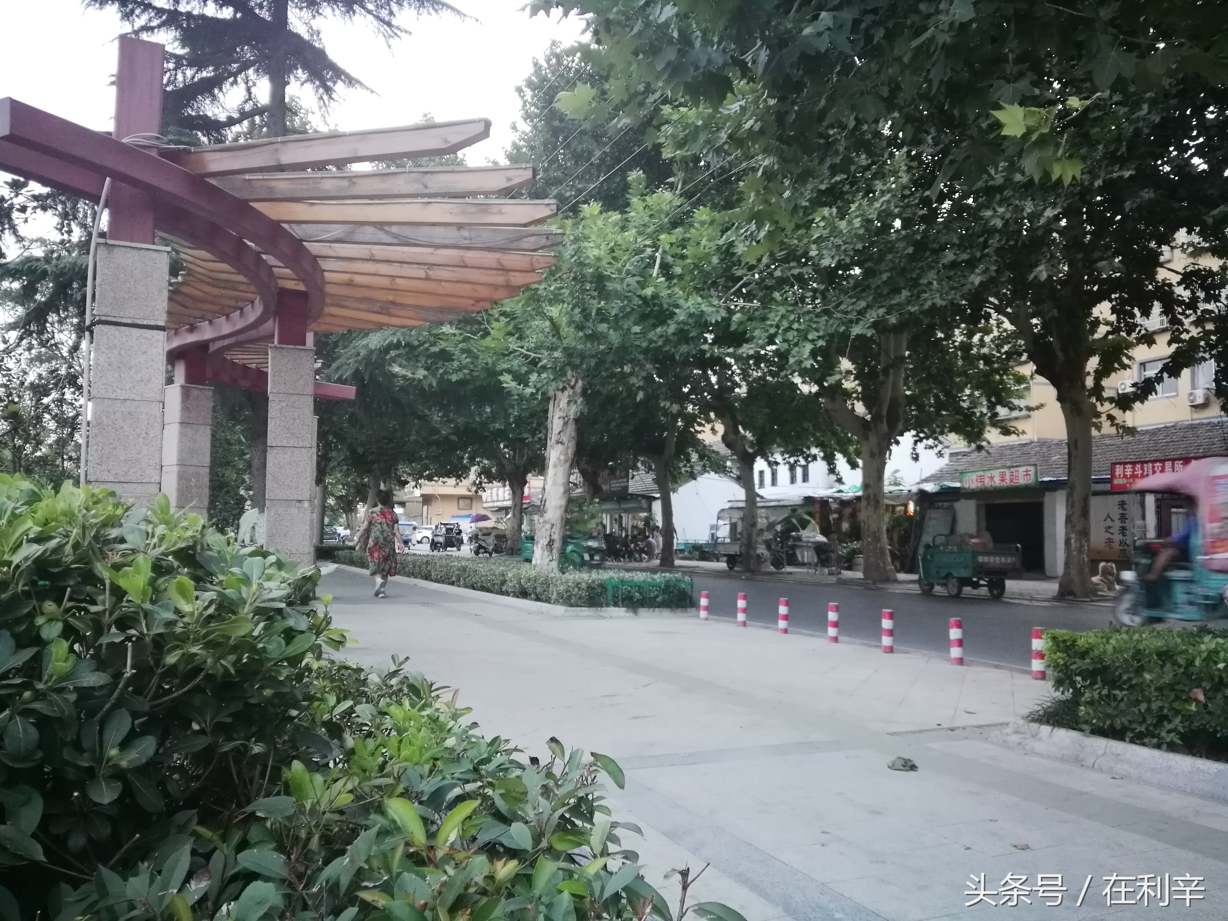 利辛日常生活,亳州利辛县日常生活