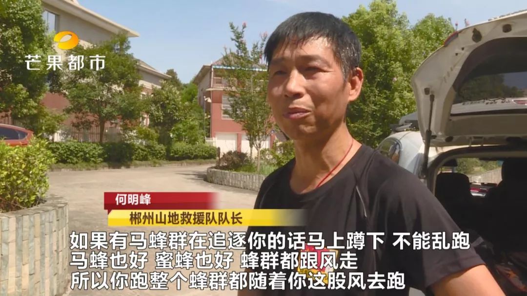 被咕噜蜂蜇住怎么办,外出遇到野蜂蜇人怎么办