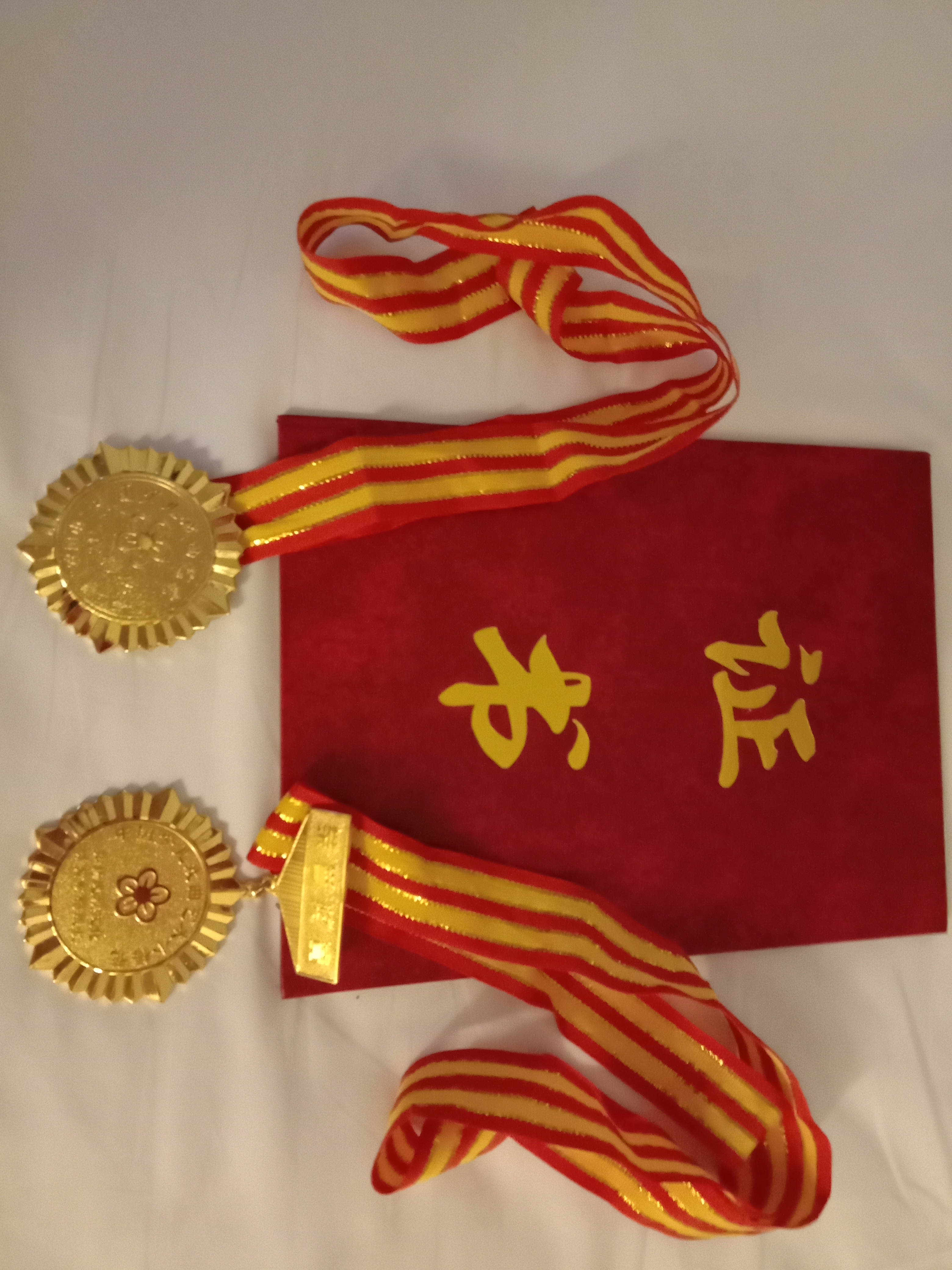 梅花香自苦寒来——张琬其获戏曲小梅花金奖纪实樊进举薛金山