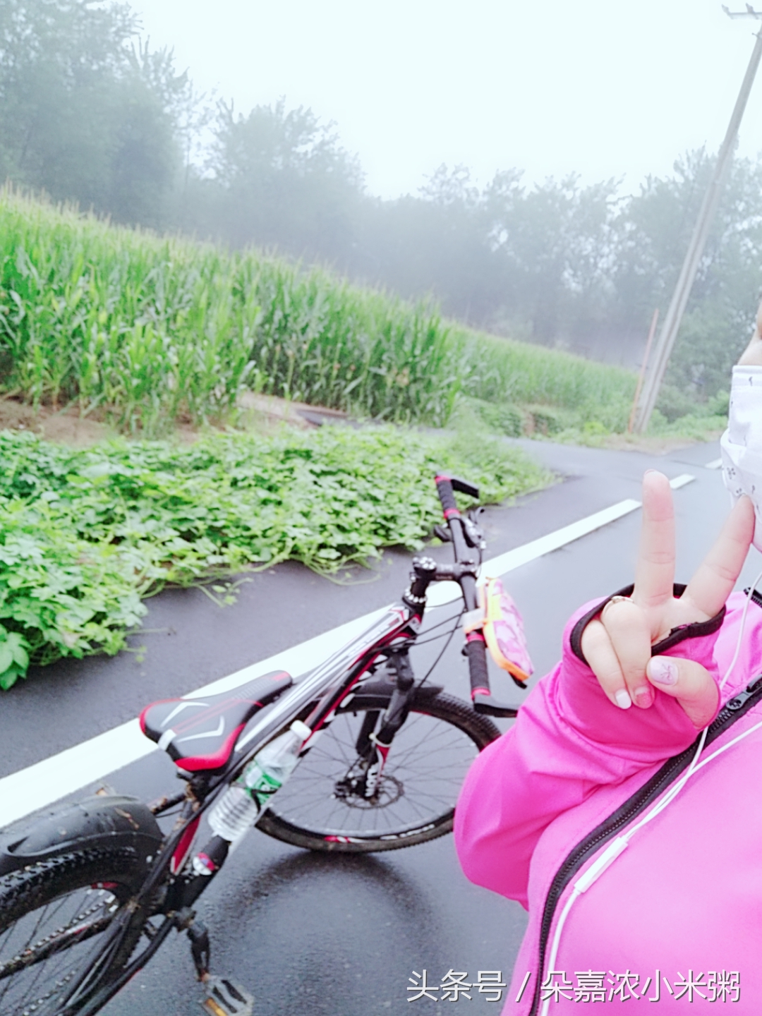 朵嘉浓小米粥,朵嘉浓好吗