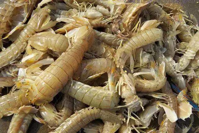 开渔哪种海鲜好吃,开渔了哪里吃海鲜