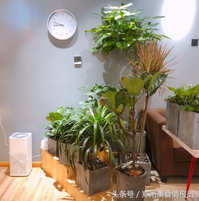 郑州精选｜酵物集手作面包工坊，减肥妹子也可以打卡哦~