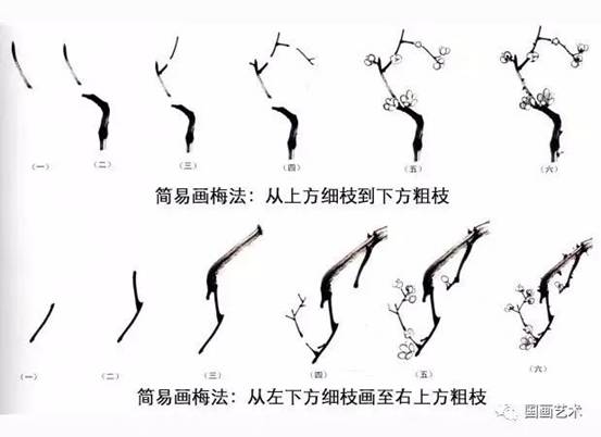 转画教学,中国画零基础入门画梅花