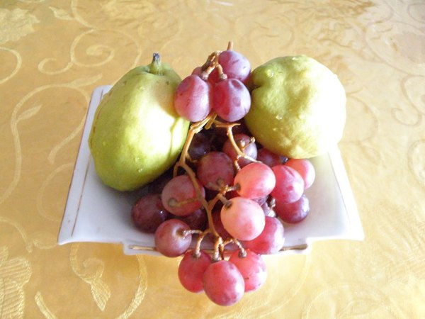 *疆新**(六)——梦牵大西北13