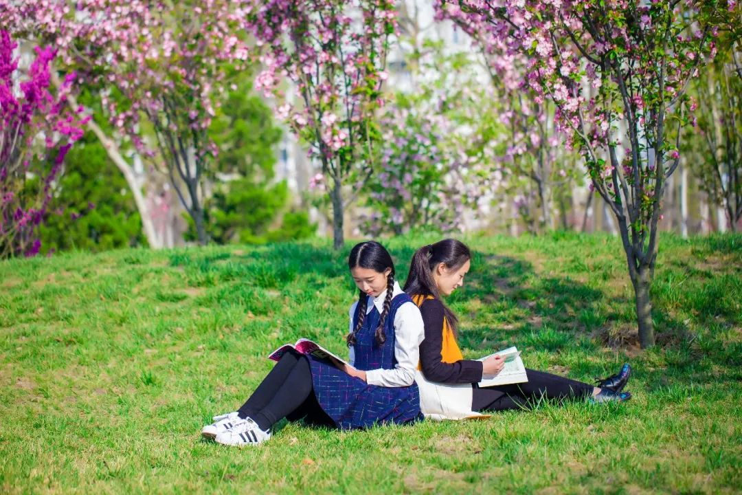 别再到处问啦！你想知道的都在这篇推文里了
