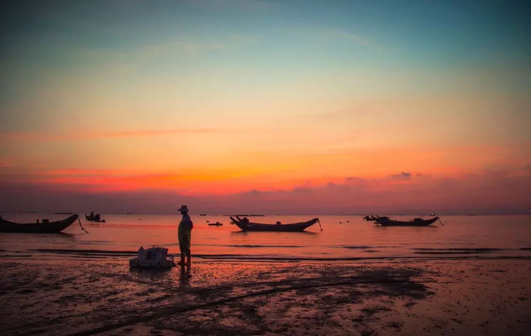 厦门的楼市真的跌了吗 (厦门楼市评论)