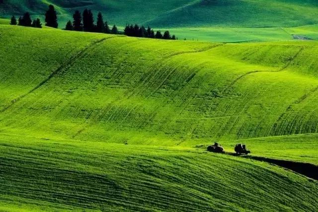 疆北自驾游线路图,全疆大环线自驾游最佳路线