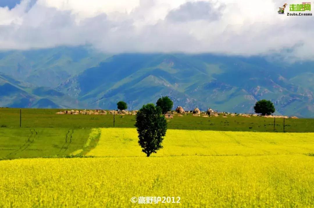 疆北自驾游线路图,全疆大环线自驾游最佳路线