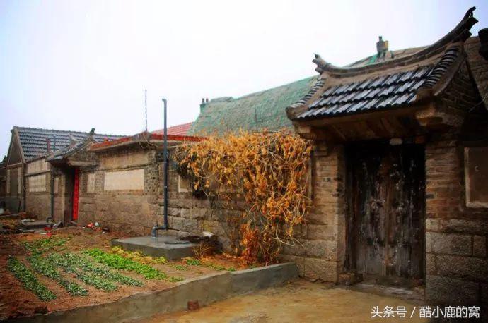 论种族天赋，在下是彻底输给了这波神操作了！