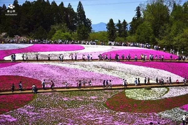 肯尼亚和坦桑尼亚哪个值得去,坦桑尼亚刚刚好之行