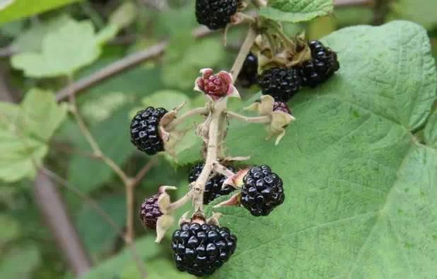 南阳人还去什么医院?你脚底下就是药房!