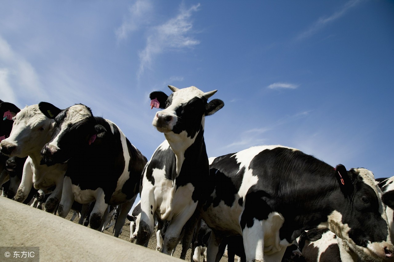 澳洲奶粉好还是不好,澳洲奶粉的猫腻