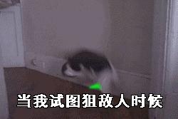 刺激战场最强十大狙击枪,刺激战场最弱狙击枪排名