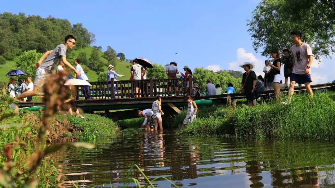 人从众的模式,人从众