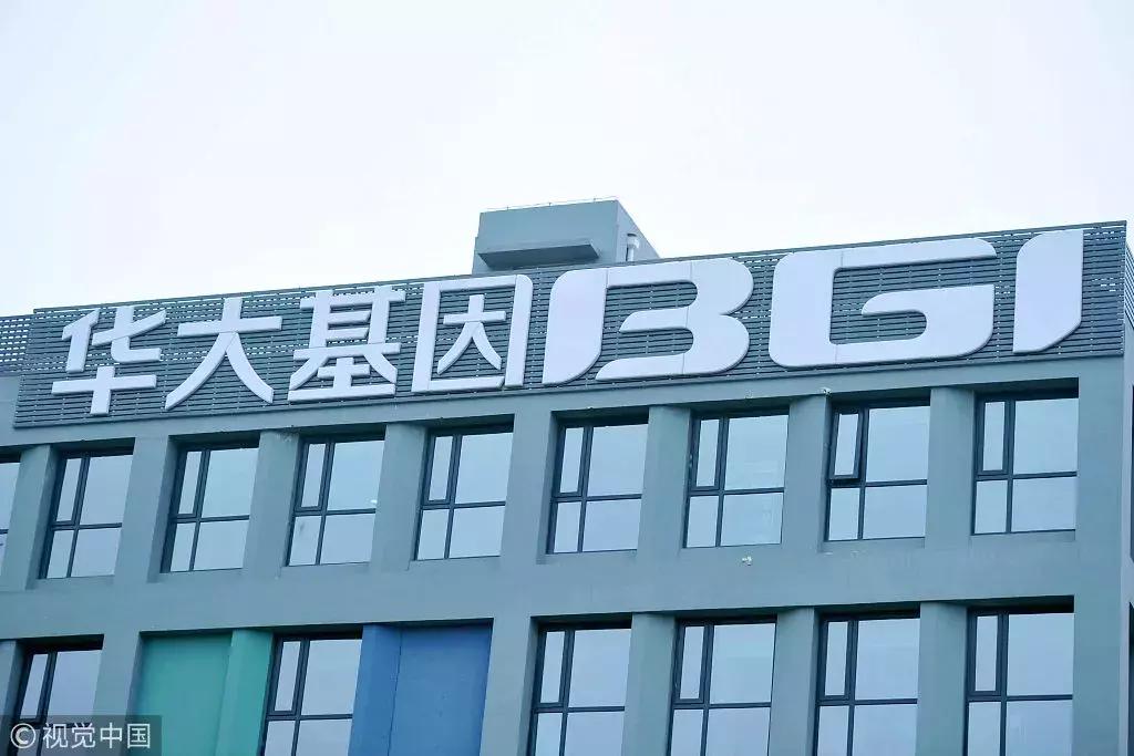 无创基因产前检测之争,产前无创基因筛查报告