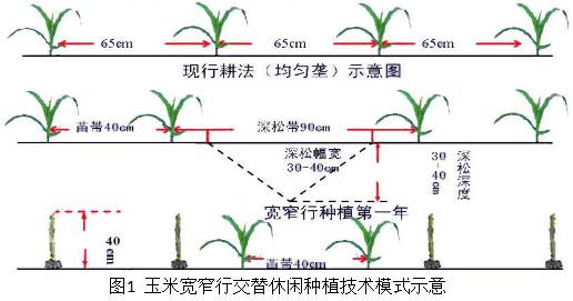 一亩地利润如何,一亩地利润分析