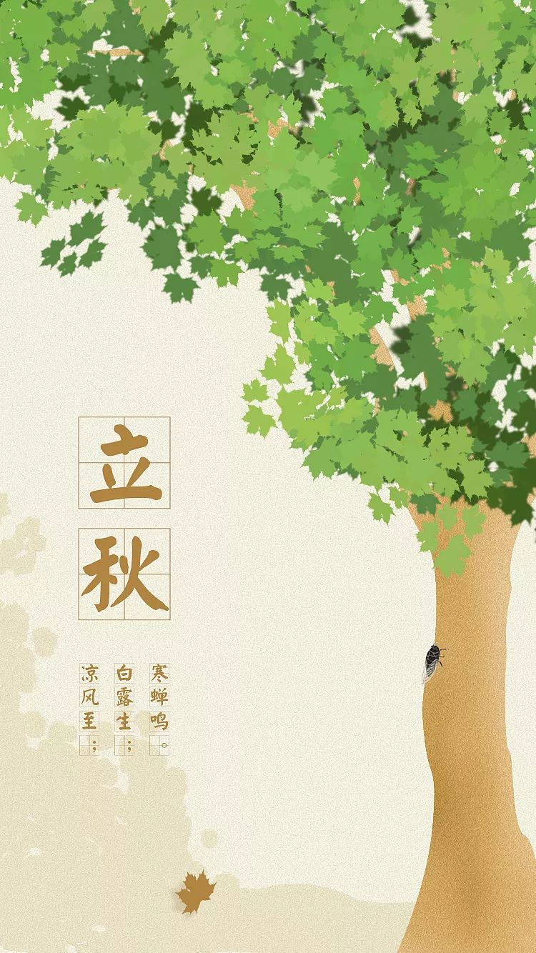 立秋给孩子喝什么润肺去燥除湿气,今日立秋莫负好时光