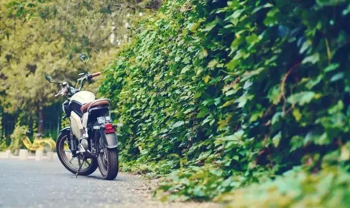 珂乐的故事,珂乐讲故事