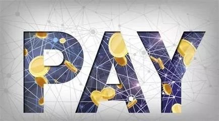 支付公司赚什么钱,支付公司到底有多赚钱