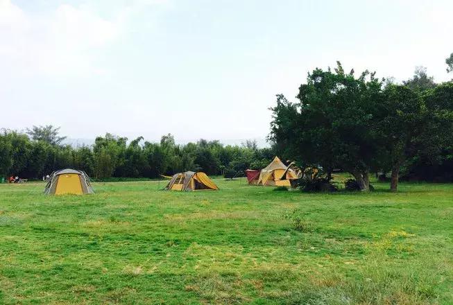 韩国济州岛是一座典型的火山岛,世界有名的火山岛