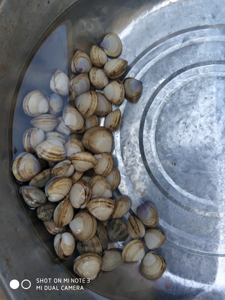 嵊泗三天两夜出游攻略,嵊泗本岛花鸟岛三天两夜攻略