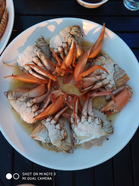 嵊泗离岛游玩攻略 (嵊泗列岛三天两夜旅游攻略)