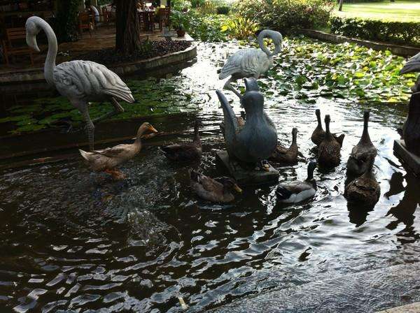 大宝二宝三亚游,三亚三妈游玩攻略